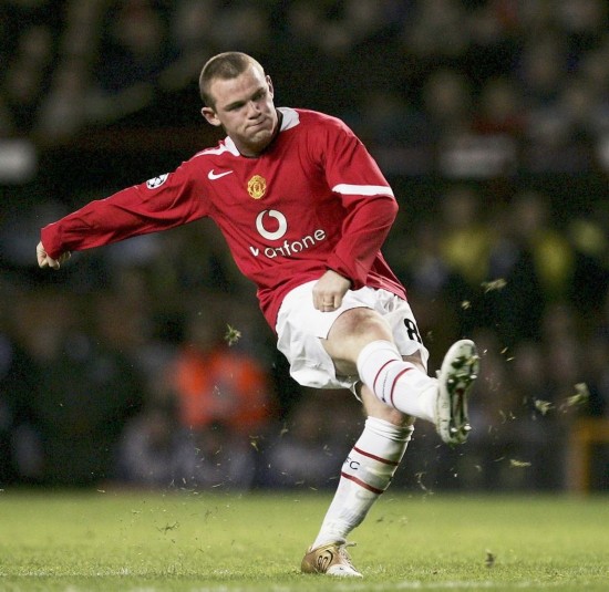 面成熟的球 面成熟的球