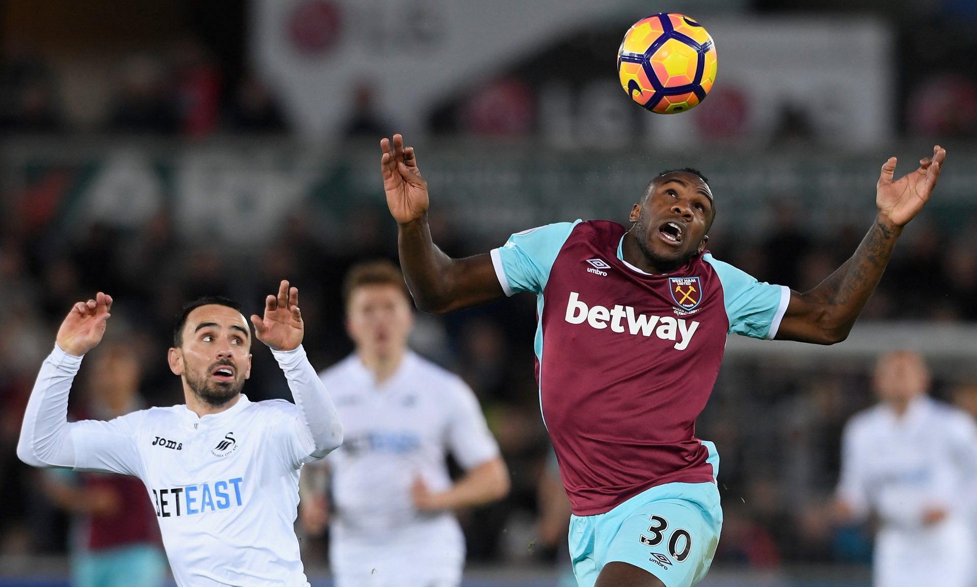 拥有深厚的 拥有深厚的