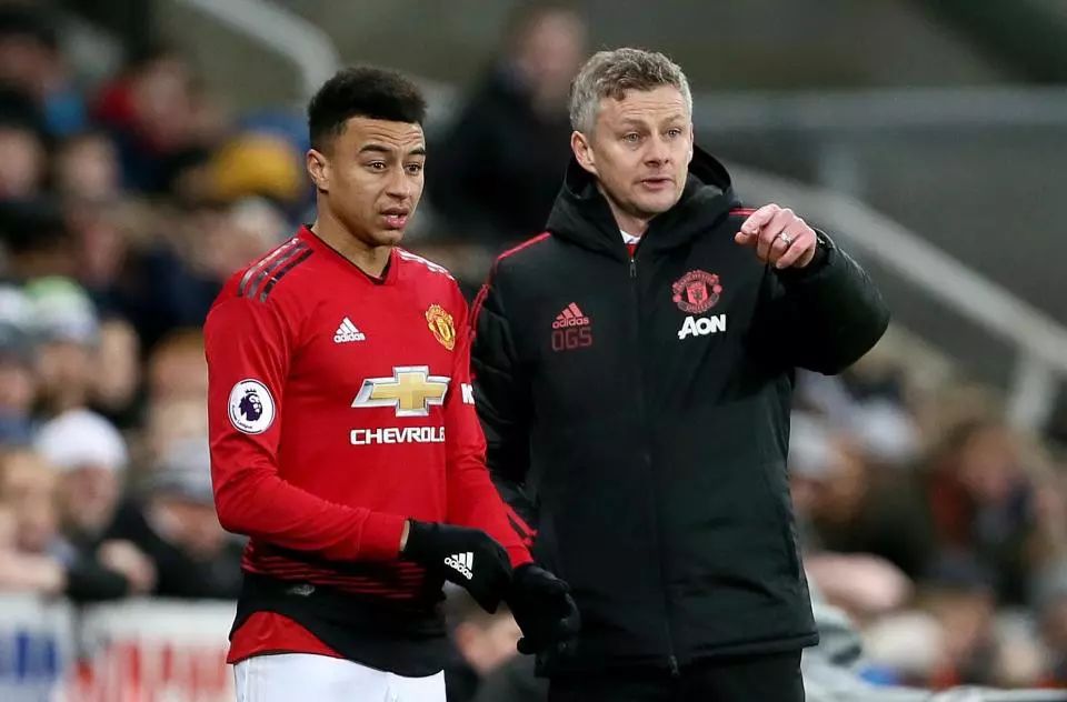 冰雪运动的 冰雪运动的